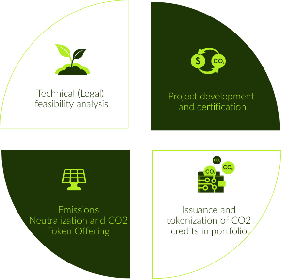 Infographic: Carbon Credit Generation