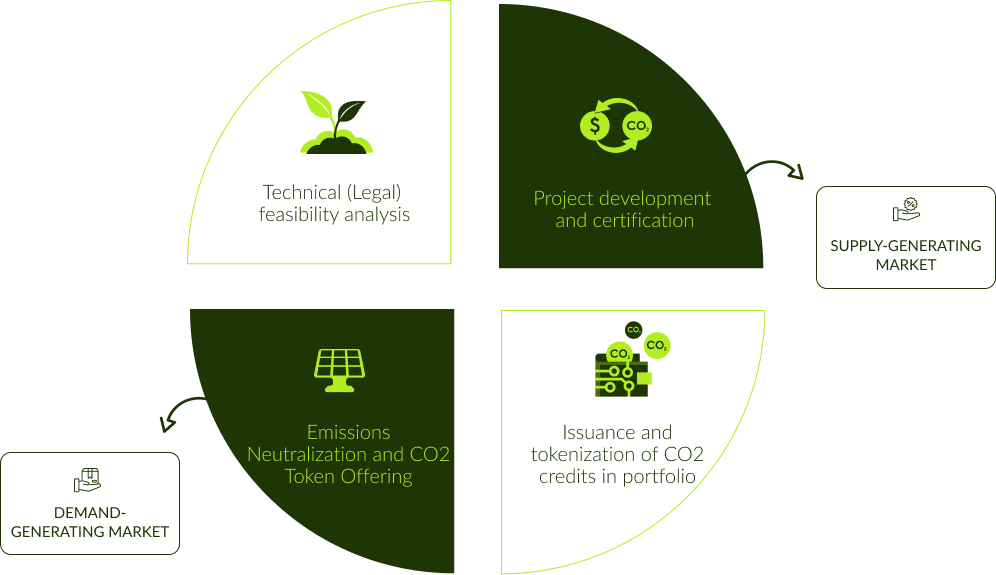 Infographic: Carbon Credit Generation